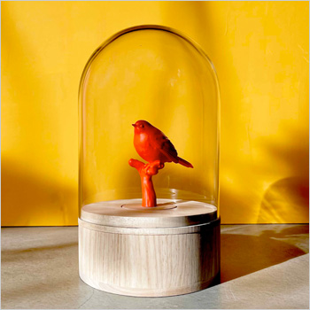 BELLE SHRINE Bird color as you wish - Afbeelding 2