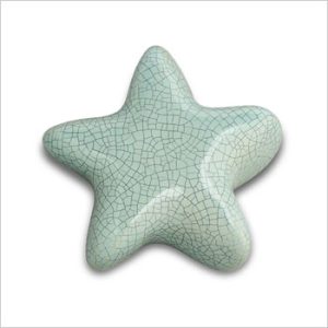 FPU-068-Asteri-ster-turquoise