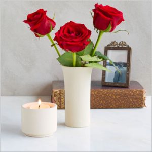 Tulipa-beige-2