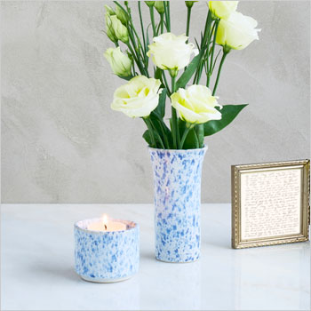 Tulipa-blauwgespikkeld-2
