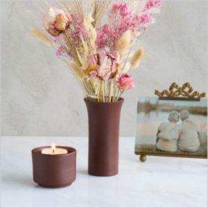 Tulipa-roodbruin-2